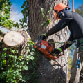 Sustainable Arboriculture Practices Supported By Local Landscaping Services In Portland, OR