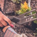 What is the professional name for a gardener?