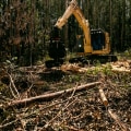 Expert Arboriculture and Brush Removal in Columbia, MO
