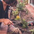 What are professional gardeners called?