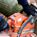Professional Arboriculture & Tree Removal in Maysville