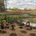 Synchronizing Tree Management with Aquatic Facility Construction