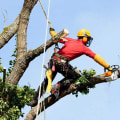 How much does a tree climber earn?