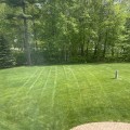 The Hidden Link Between Arboriculture And Effective Lawn Fertilizing In Derry, NH