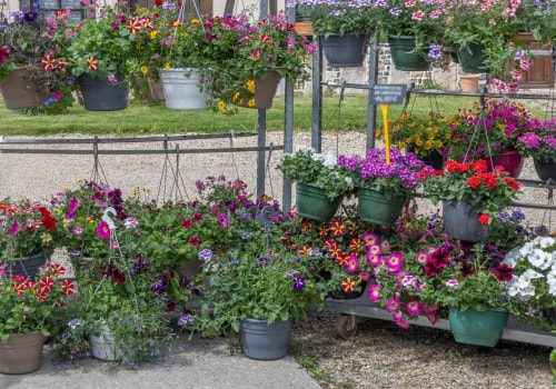 Enhancing Your Manchester, NH Property: Landscaping Insights Through Arboriculture