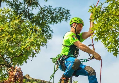 What type of arborist makes the most money?