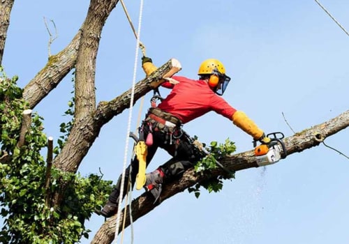 How much does a tree climber earn?