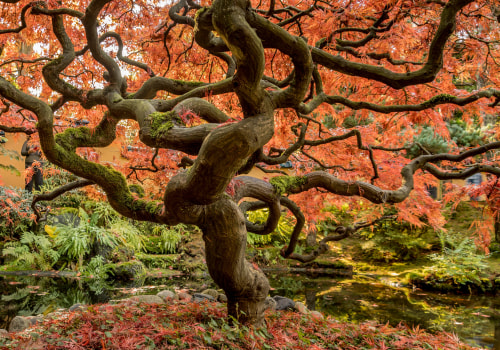 The Science of Tree Stress: Why Healthy-Looking Trees Still Fail