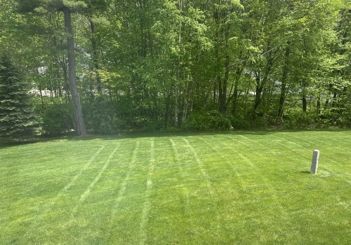 The Hidden Link Between Arboriculture And Effective Lawn Fertilizing In Derry, NH